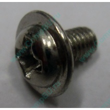 Компьютерный винт "малый" PW-M3x6mm (Новосибирск)