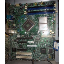 Материнская плата Intel Server Board S3200SH s.775 (Новосибирск)