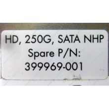 HP 250G 7.2k 432337-001/ 399699-001 / 397377-004 SATA HDD (Новосибирск)