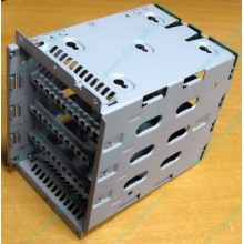 Корзина для HDD HP 454385-501 (459191-001) - Новосибирск