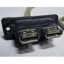 USB-разъемы HP 451784-001 (459184-001) для корпуса HP 5U tower (Новосибирск)