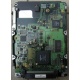 Жесткий диск 18.4Gb Quantum Atlas 10K III U160 SCSI (Новосибирск)