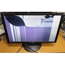 ViewSonic VA2413WM-2 разбитая матрица (Новосибирск)