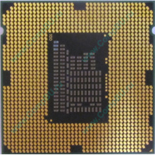 Процессор Intel Celeron G540 (2x2.5GHz /L3 2048kb) SR05J s.1155 (Новосибирск)
