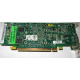 Видеокарта Dell ATI-102-B17002(B) зелёная 256Mb ATI HD2400 PCI-E (Новосибирск)