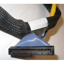 Кабель SCSI HP 166298-037 для HP ML370 G4 (Новосибирск)
