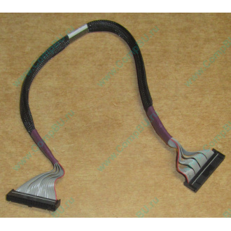 FDD-кабель HP 271946-006 для HP ML370 G3 G4 (Новосибирск)