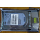 HDD 146.8Gb HP 360205-022 404708-001 404670-002 (Новосибирск)