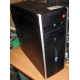 БУ компьютер HP Compaq Elite 8300 (Intel Core i3-3220 (2x3.3GHz HT) /4Gb /250Gb /ATX 320W) - Новосибирск